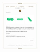 2.71 Ct.Tw.Total Carat Weight Emerald Pair from Afghanistan Appraisal