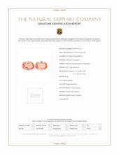 Jewelry Scan Report