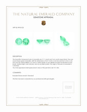 4.77 Ct.Tw.Total Carat Weight Emerald Pair from Colombia Appraisal