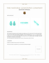 4.81 Ct.Tw.Total Carat Weight Paraiba Tourmaline Pair from Mozambique Appraisal