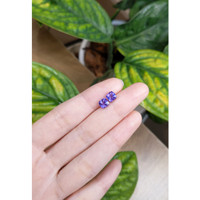 2.09 Ct.Tw.Total Carat Weight Tanzanite Pair from Tanzania Life Style