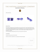 1.31 Ct.Tw.Total Carat Weight Violetish Blue Tanzanite Pair from Tanzania Appraisal