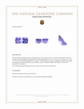 1.45 Ct.Tw.Total Carat Weight Violetish Blue Tanzanite Pair from Tanzania Appraisal