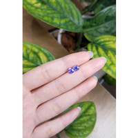 1.45 Ct.Tw.Total Carat Weight Tanzanite Pair from Tanzania Life Style