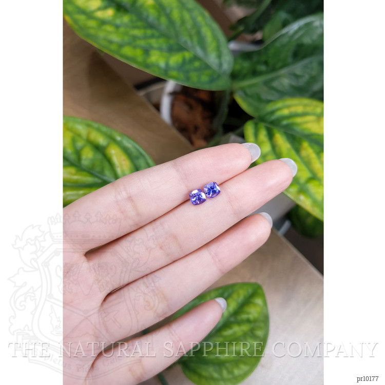 1.45 Ct.Tw. Tanzanite Pair from Tanzania