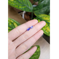 1.18&nbsp;Ct.Tw.Total Carat Weight Tanzanite Pair from Tanzania Life Style