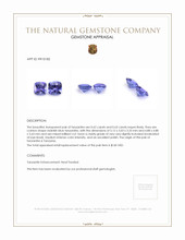 1.25 Ct.Tw.Total Carat Weight Violetish Blue Tanzanite Pair from Tanzania Appraisal