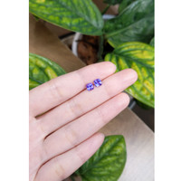 1.25 Ct.Tw.Total Carat Weight Tanzanite Pair from Tanzania Life Style