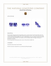 1.24 Ct.Tw.Total Carat Weight Violetish Blue Tanzanite Pair from Tanzania Appraisal