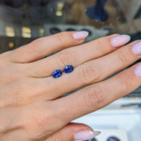 1.76&nbsp;Ct.Tw.Total Carat Weight Blue Sapphire Pair from Ceylon (Sri Lanka) Life Style