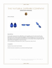 8.60 Ct.Tw.Total Carat Weight Blue Sapphire Pair from Ceylon (Sri Lanka) Appraisal