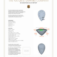 8.60&nbsp;Ct.Tw.Total Carat Weight Blue Sapphire Pair from Ceylon (Sri Lanka) 3 D Scan Report