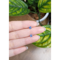 0.88&nbsp;Ct.Tw.Total Carat Weight Blue Sapphire Pair from Ceylon (Sri Lanka) Life Style