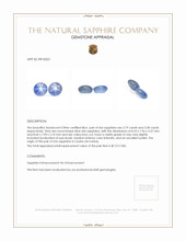 6.77&nbsp;Ct.Tw.Total Carat Weight Blue Star Sapphire Pair from Ceylon (Sri Lanka) Appraisal
