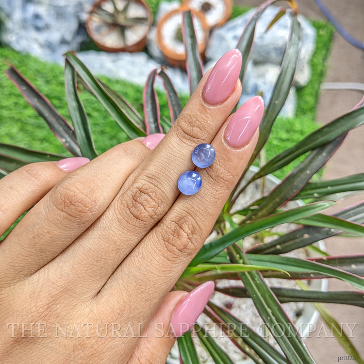 6.77 Ct.Tw. Blue Star Sapphire Pair from Ceylon (Sri Lanka)