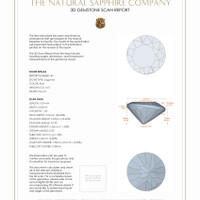 Jewelry 3 D Scan Report
