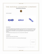 1.57 Ct.Tw.Total Carat Weight Violetish Blue Tanzanite Pair from Tanzania Appraisal