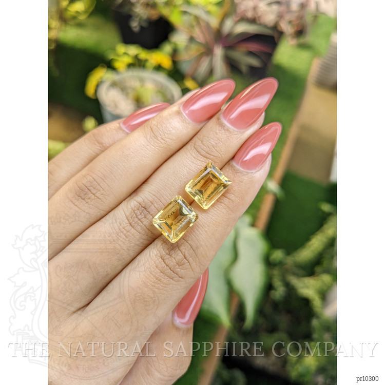 9.67 Ct.Tw. Citrine Pair from Brazil