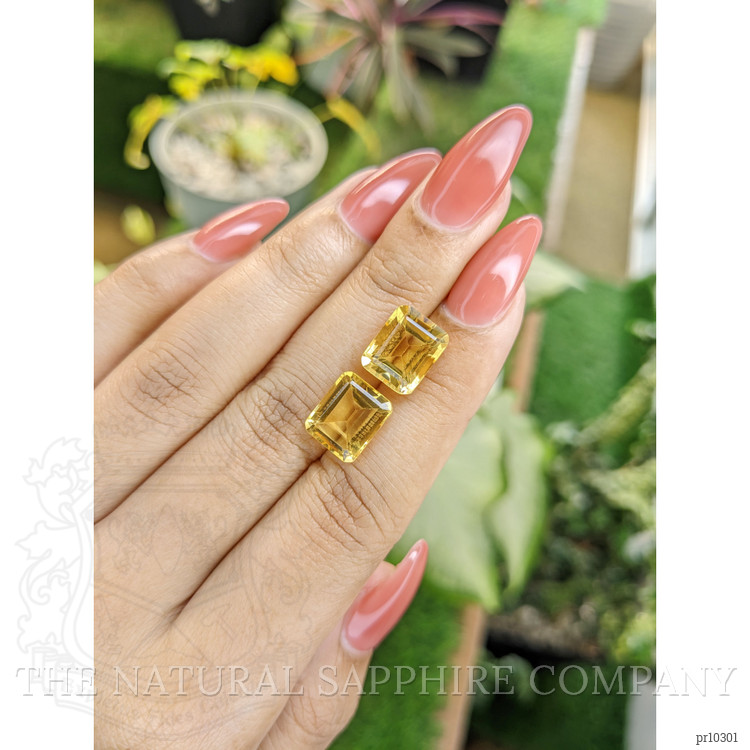 8.69 Ct.Tw. Citrine Pair from Brazil