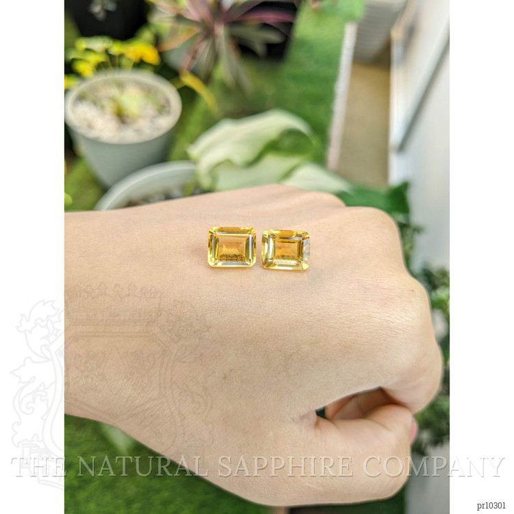 8.69 Ct.Tw. Citrine Pair from Brazil