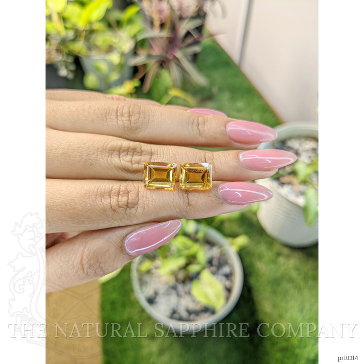 9.75 Ct.Tw. Citrine Pair from Brazil