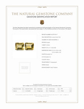 7.99 Ct.Tw.Total Carat Weight Citrine Pair from Brazil Scan Report