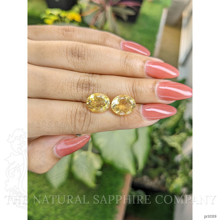 8.49 Ct.Tw. Citrine Pair from Brazil