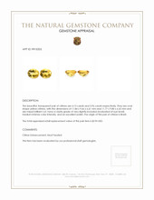 8.09 Ct.Tw.Total Carat Weight Citrine Pair from Brazil Appraisal