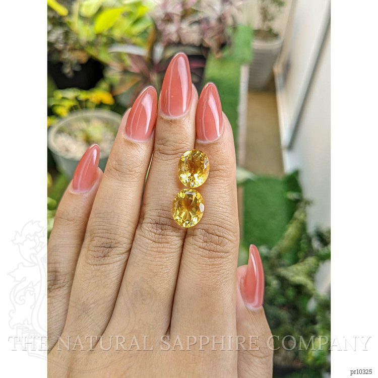 8.09 Ct.Tw. Citrine Pair from Brazil