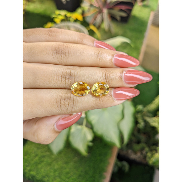 7.26 Ct.Tw. Citrine Pair from Brazil