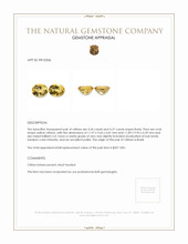 8.61 Ct.Tw.Total Carat Weight Citrine Pair from Brazil Appraisal