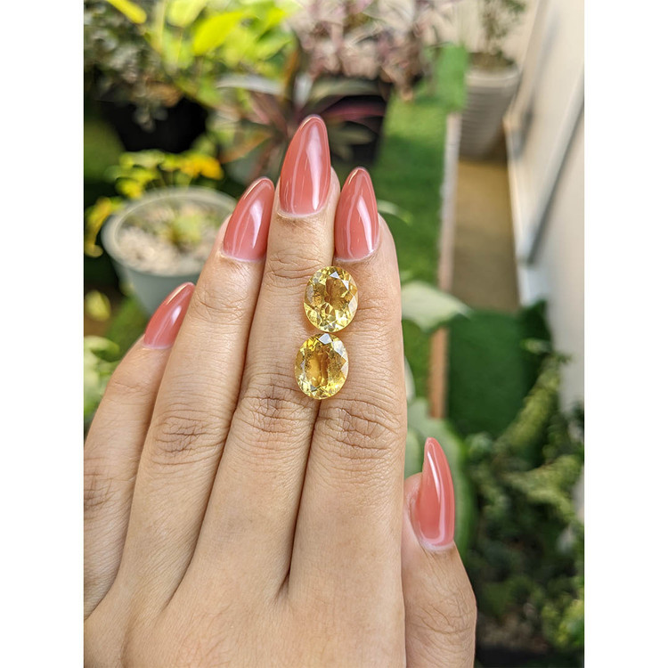 7.85 Ct.Tw. Citrine Pair from Brazil