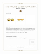 7.58 Ct.Tw.Total Carat Weight Citrine Pair from Brazil Appraisal