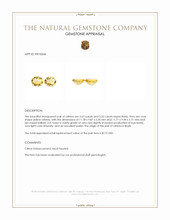 7.20 Ct.Tw.Total Carat Weight Yellow Citrine Pair from Brazil Appraisal