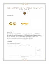 7.20 Ct.Tw.Total Carat Weight Citrine Pair from Brazil Appraisal