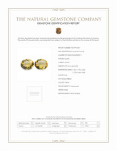 6.46 Ct.Tw.Total Carat Weight Yellow Citrine Pair from Brazil Scan Report