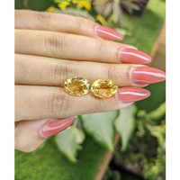 10.01 Ct.Tw.Total Carat Weight Citrine Pair from Brazil Life Style
