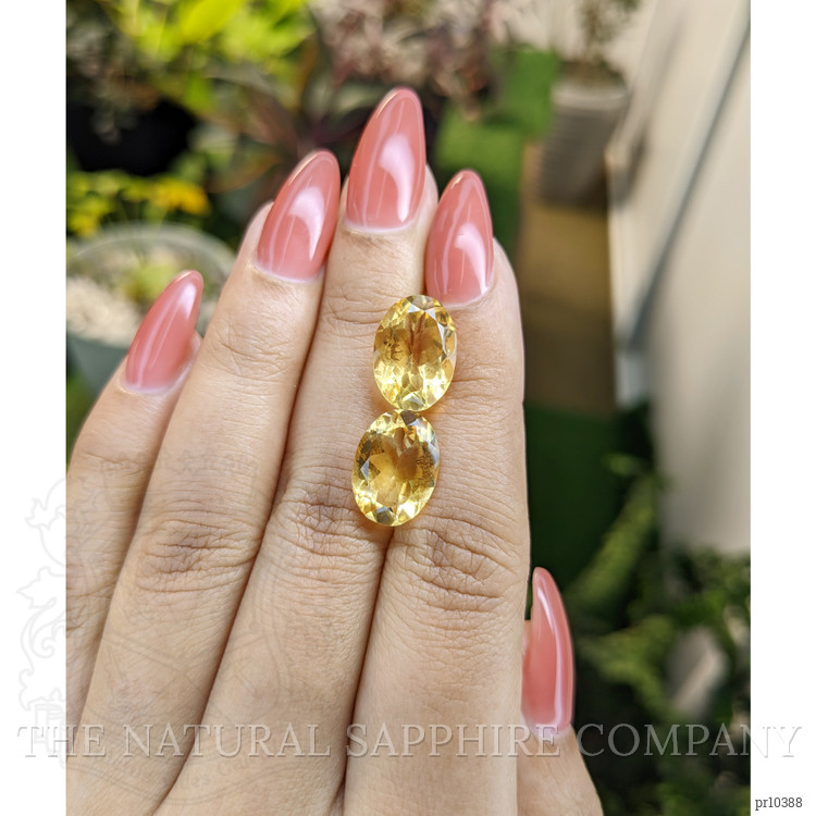 10.01 Ct.Tw. Citrine Pair from Brazil