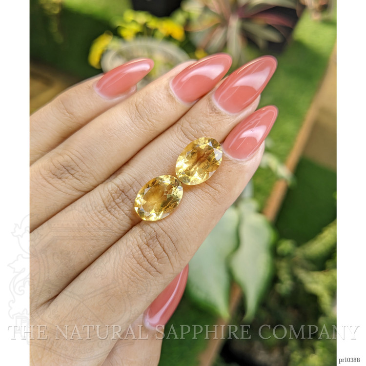 10.01 Ct.Tw. Citrine Pair from Brazil