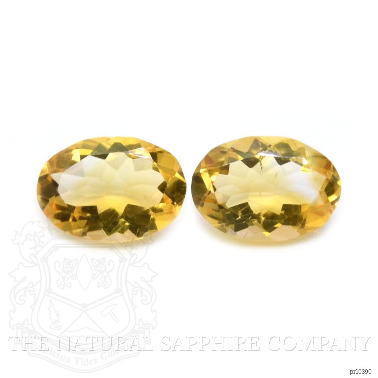 9.29 Ct.Tw. Citrine Pair from Brazil