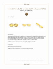 9.24 Ct.Tw.Total Carat Weight Yellow Citrine Pair from Brazil Appraisal