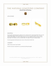 12.42 Ct.Tw.Total Carat Weight Yellow Citrine Pair from Brazil Appraisal