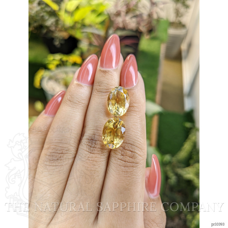 12.42 Ct.Tw. Citrine Pair from Brazil