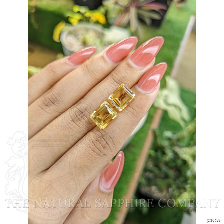 8.55 Ct.Tw. Citrine Pair from Brazil