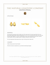 8.14 Ct.Tw.Total Carat Weight Yellow Citrine Pair from Brazil Appraisal