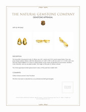 10.16 Ct.Tw.Total Carat Weight Yellow Citrine Pair from Brazil Appraisal