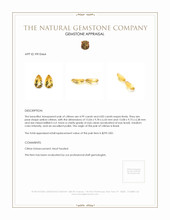 9.82 Ct.Tw.Total Carat Weight Yellow Citrine Pair from Brazil Appraisal