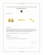 9.56 Ct.Tw.Total Carat Weight Citrine Pair from Brazil Appraisal