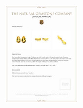 9.30 Ct.Tw.Total Carat Weight Citrine Pair from Brazil Appraisal