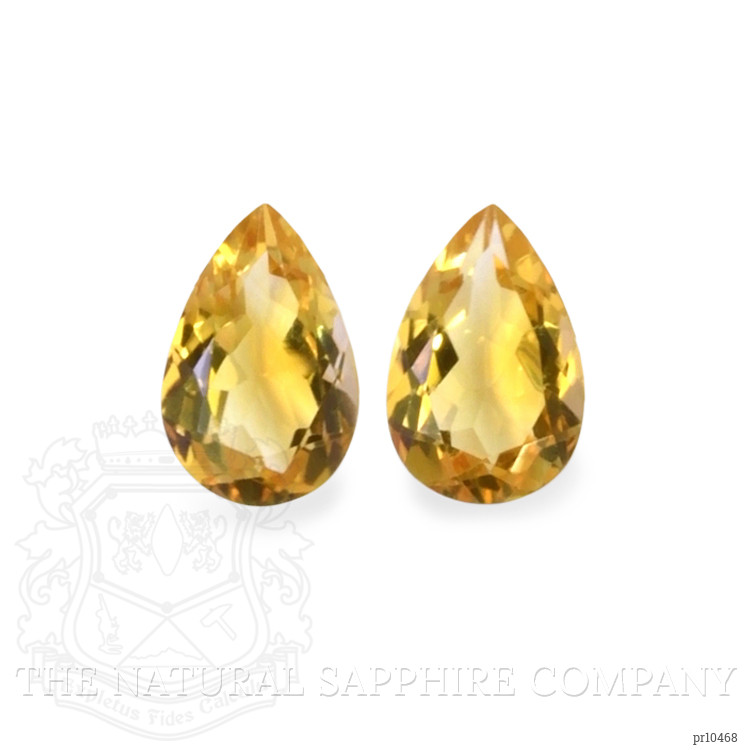 9.87 Ct.Tw. Citrine Pair from Brazil